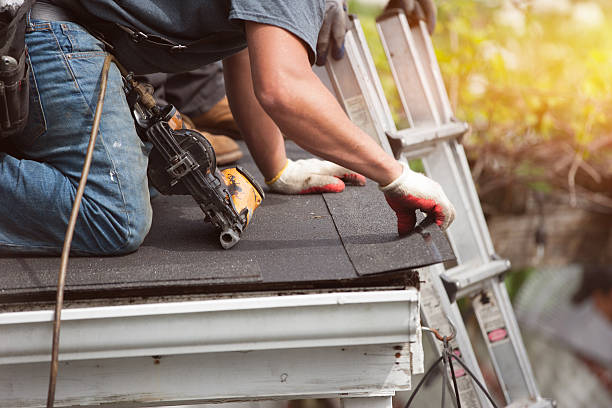 Best Roof Gutter Cleaning  in Park City, UT
